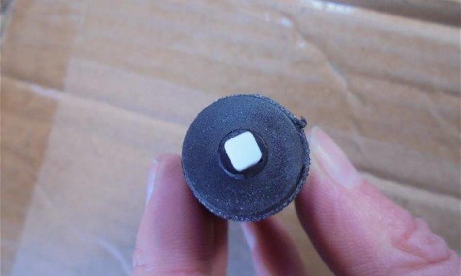 2015-12-28-111scholl 8.jpg